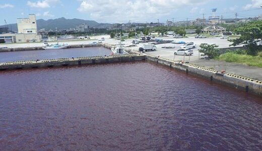 赤く染まった川や港、ビール工場から冷却液流出で　沖縄