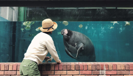 料理家・山戸ユカが水族館に通う理由。「マナティーに恋をしたから」